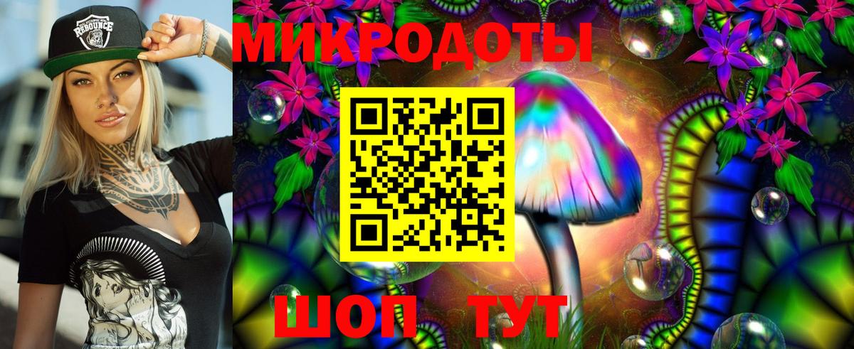 Псилоцибиновые грибы Psilocybe  Вход с VPN  Иваново 